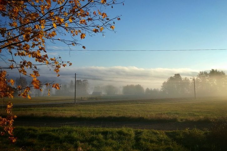 20141018_090317_1.jpg