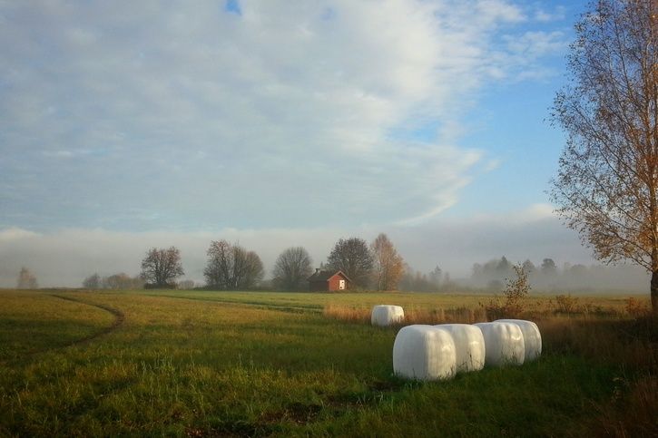 20141018_090952_1.jpg