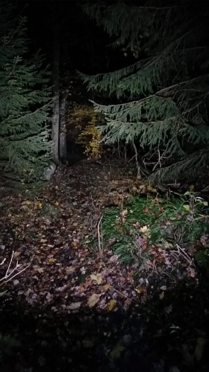 20141023_192811_LLS.jpg