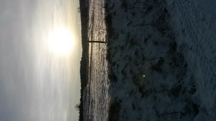 20141226_123225.jpg