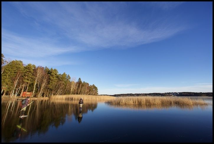 2015-01-04at14-15-01.jpg