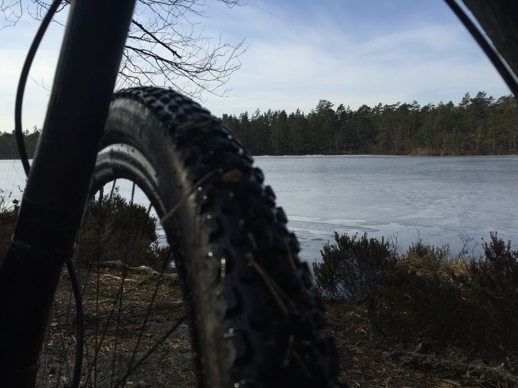 2015-03-156.JPG