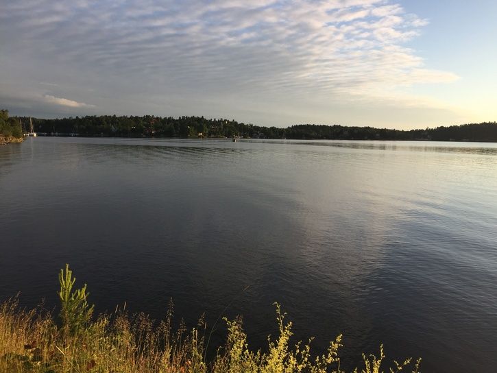 2015-06-2704.41.32.jpg