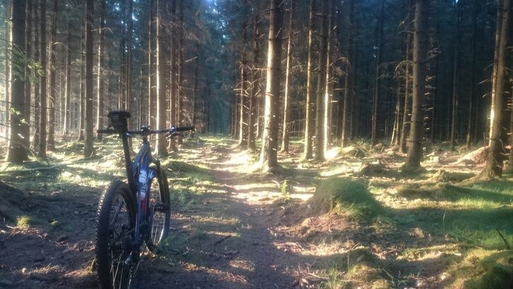 2015-07-2120.28.13.jpg