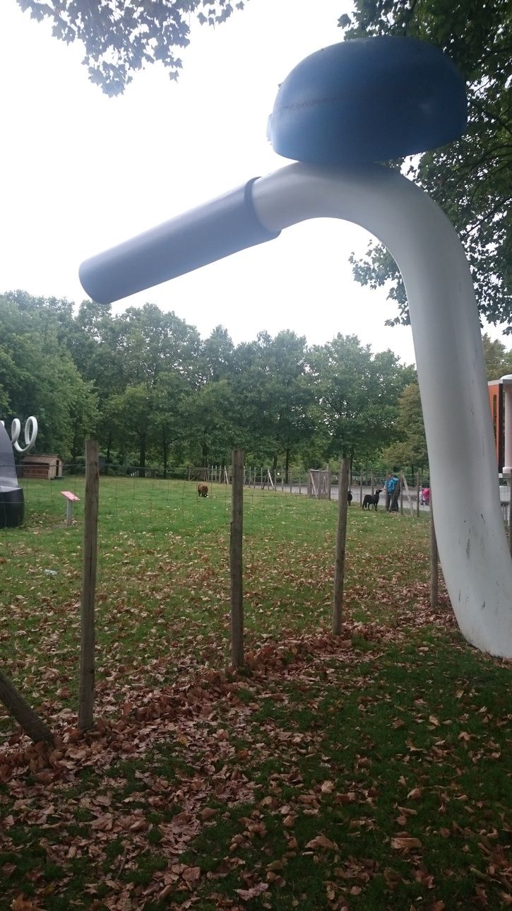 2015-08-2014.42.46.jpg