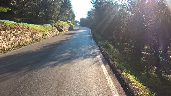 2015-12-2711.08.23.jpg