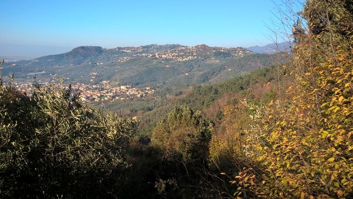 2015-12-2711.16.54.jpg