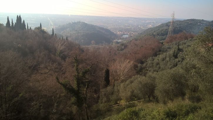 2015-12-2712.51.44.jpg