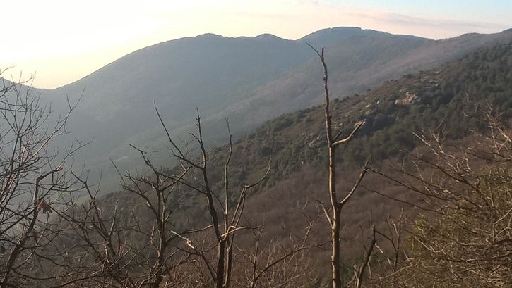 2015-12-3015.02.55.jpg