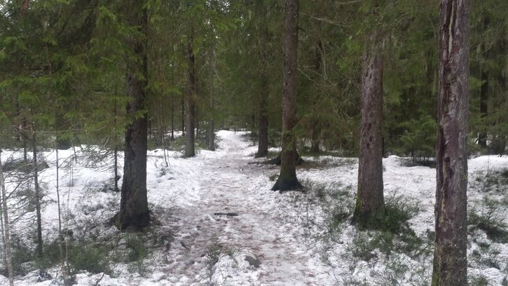 20150220_085144_RichtoneHDR.jpg