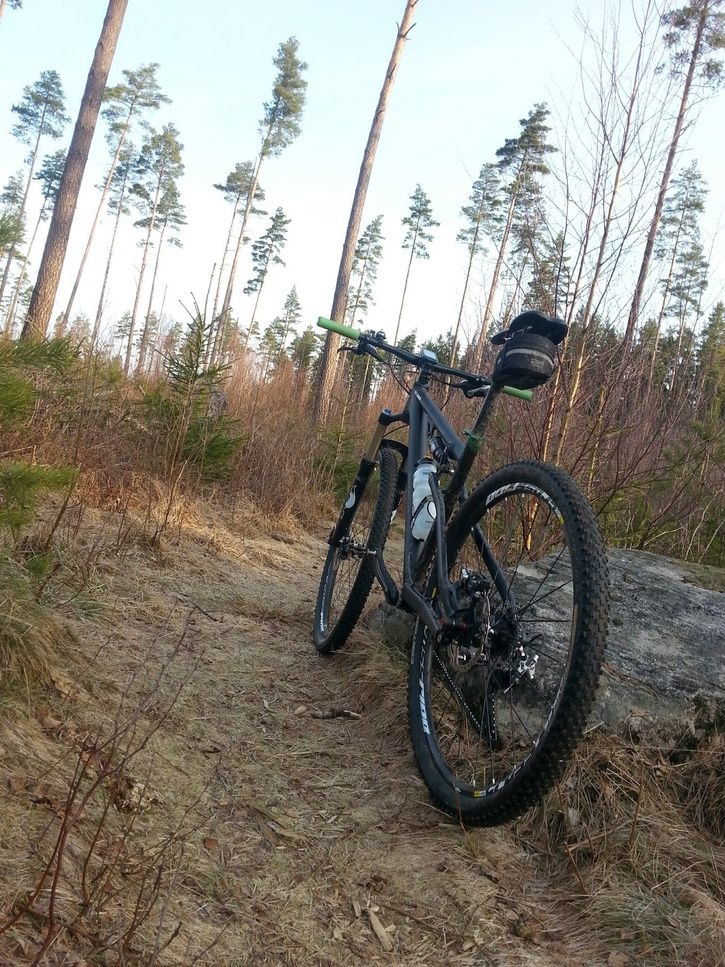 20150315_0809201.jpg