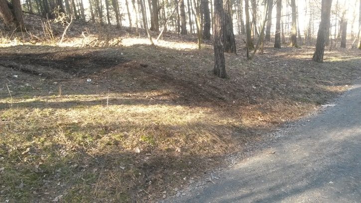 20150316_120857.jpg