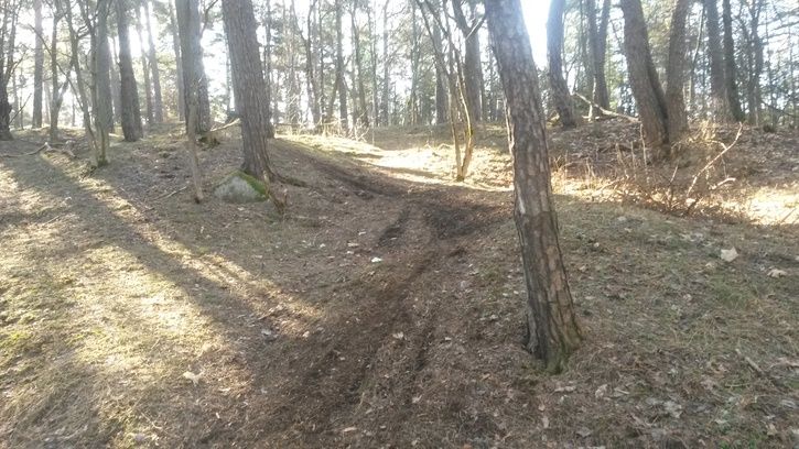20150316_120911.jpg