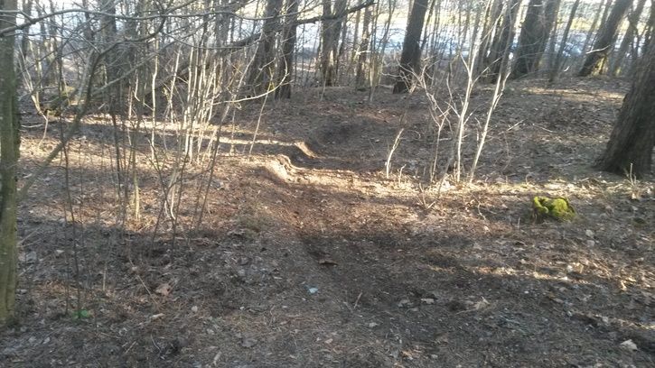 20150316_120917.jpg