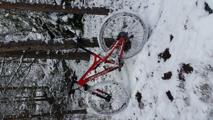 20150321_120937.jpg