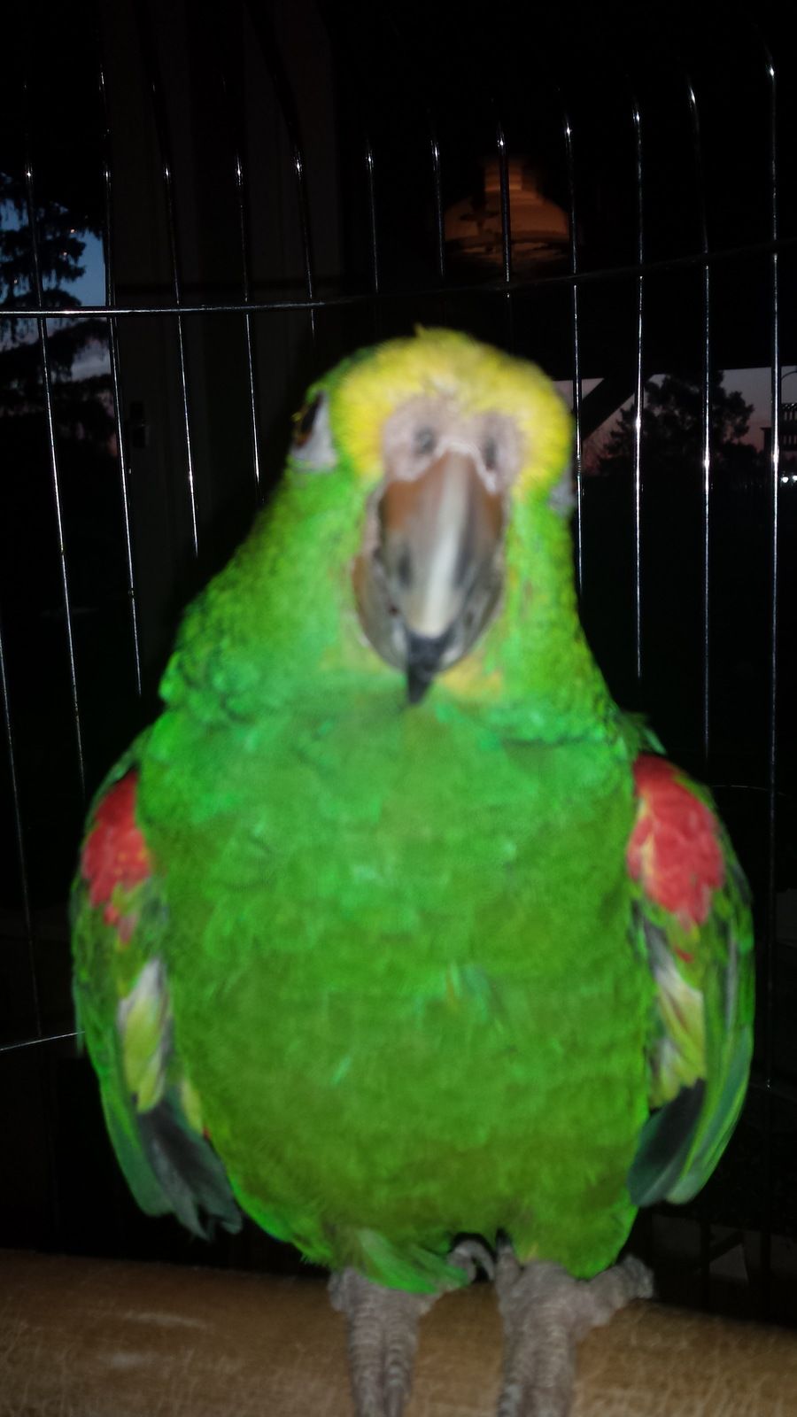 20150422_050320.jpg