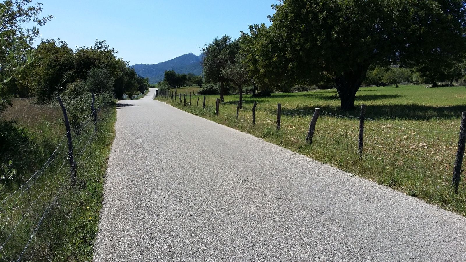 20150430_152918.jpg