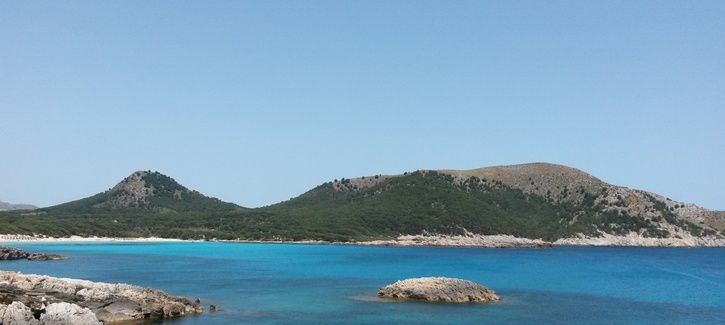 20150513_124156.jpg