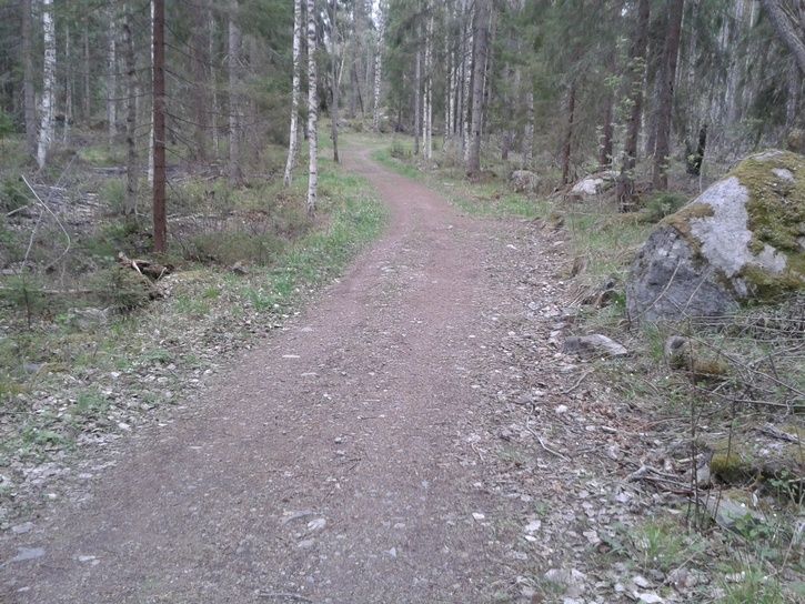 20150515_155932.jpg