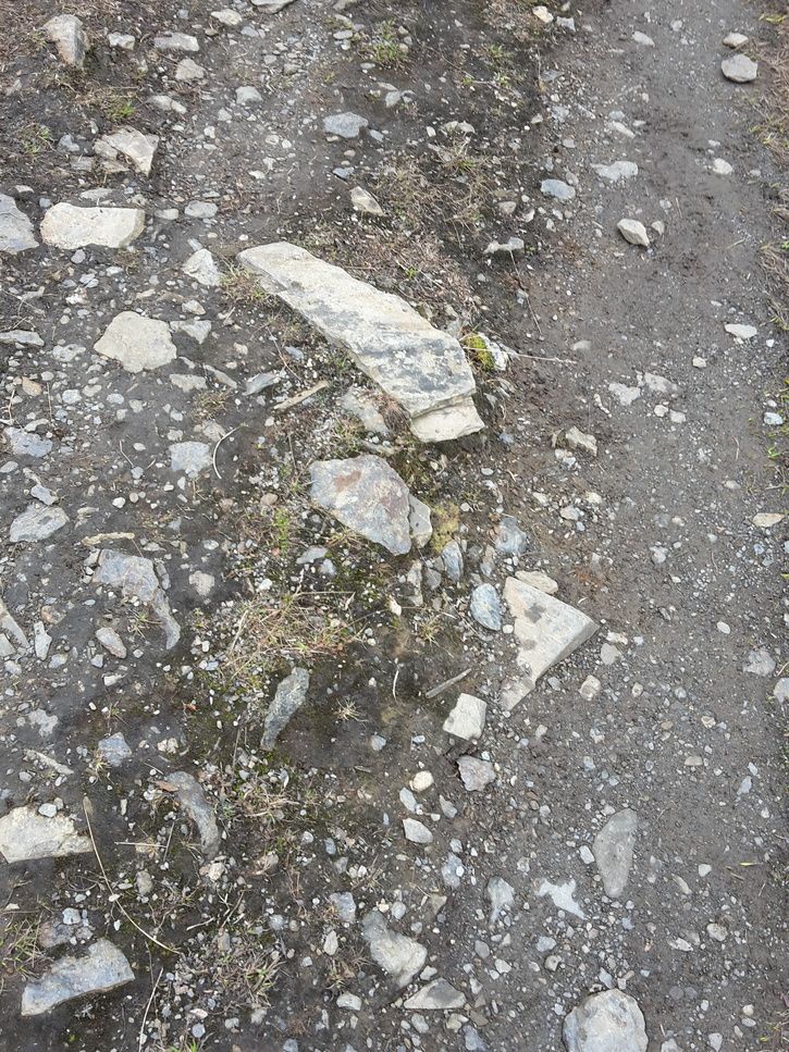 20150725_142821.jpg