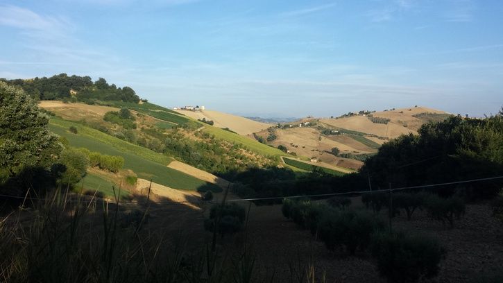 20150727_065530.jpg
