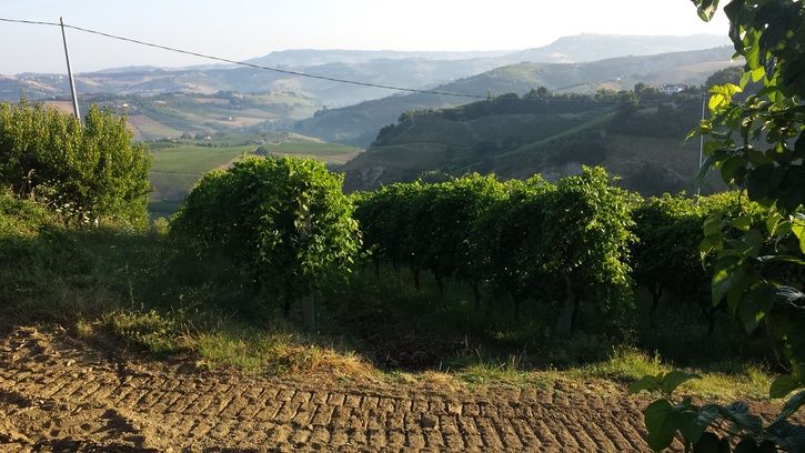 20150727_065921.jpg