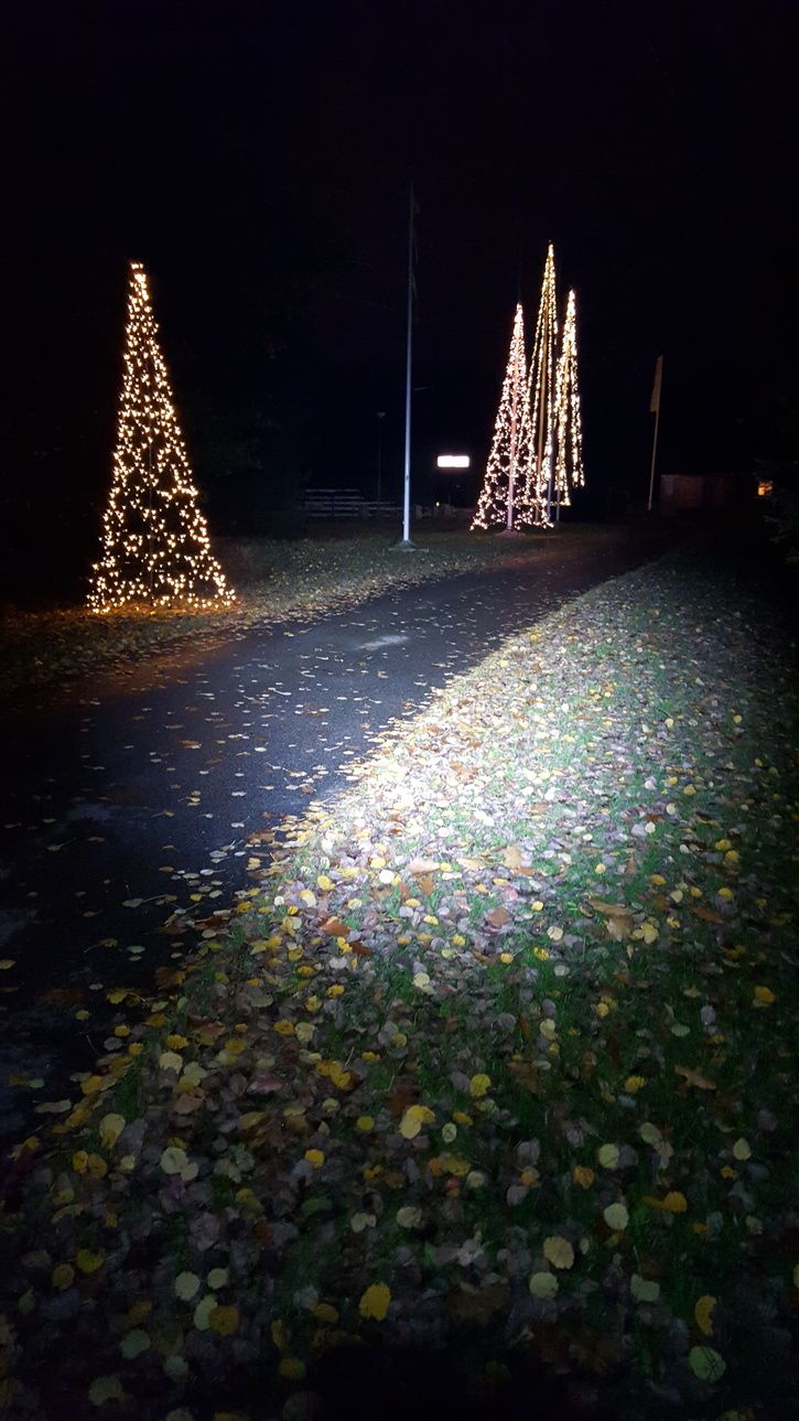 20151021_Julbelysning.jpg