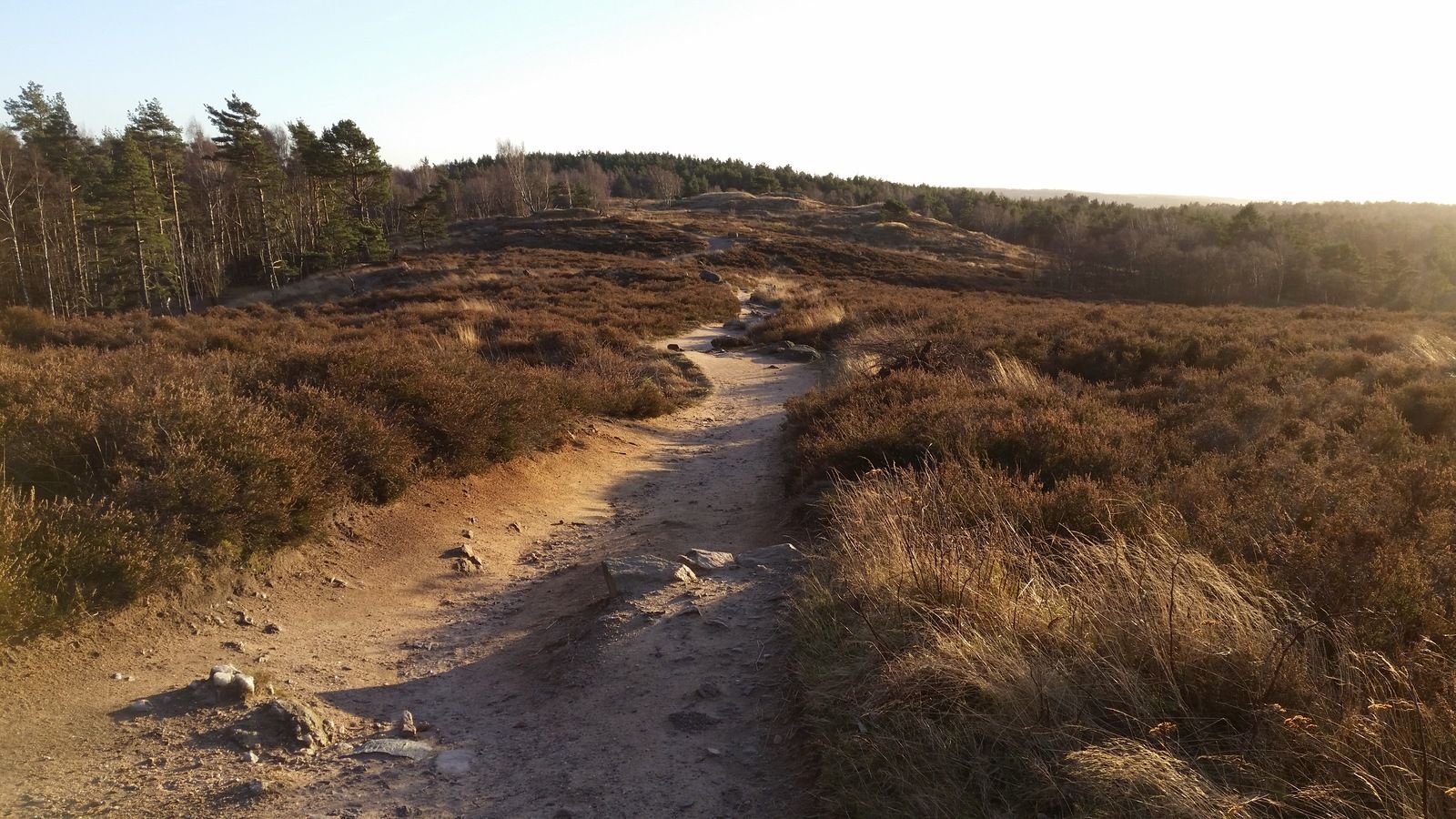 20151201_140954.jpg