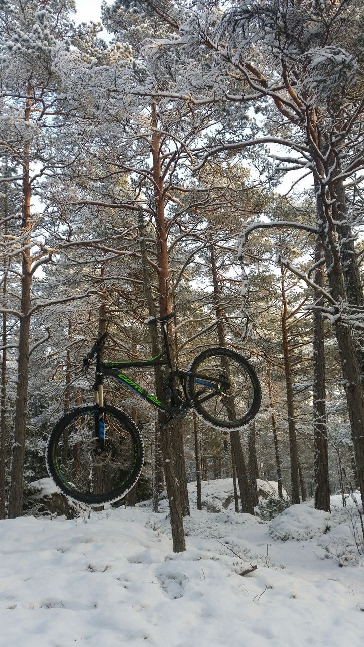 2016-01-0612.59.14.jpg
