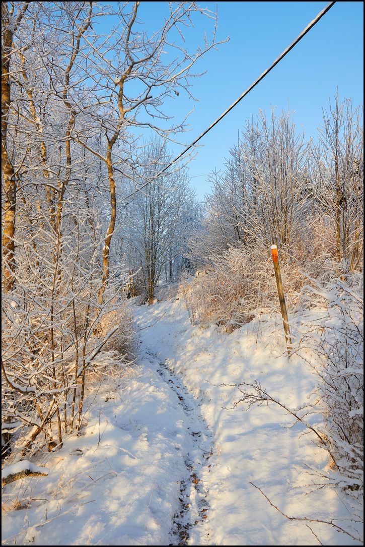 2016-01-06-at-13-26-19.jpg