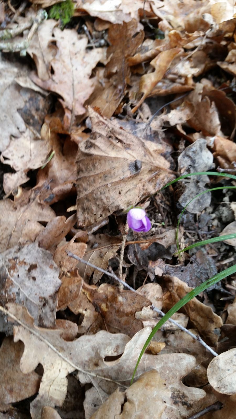 2016-03-1913.59.13.jpg
