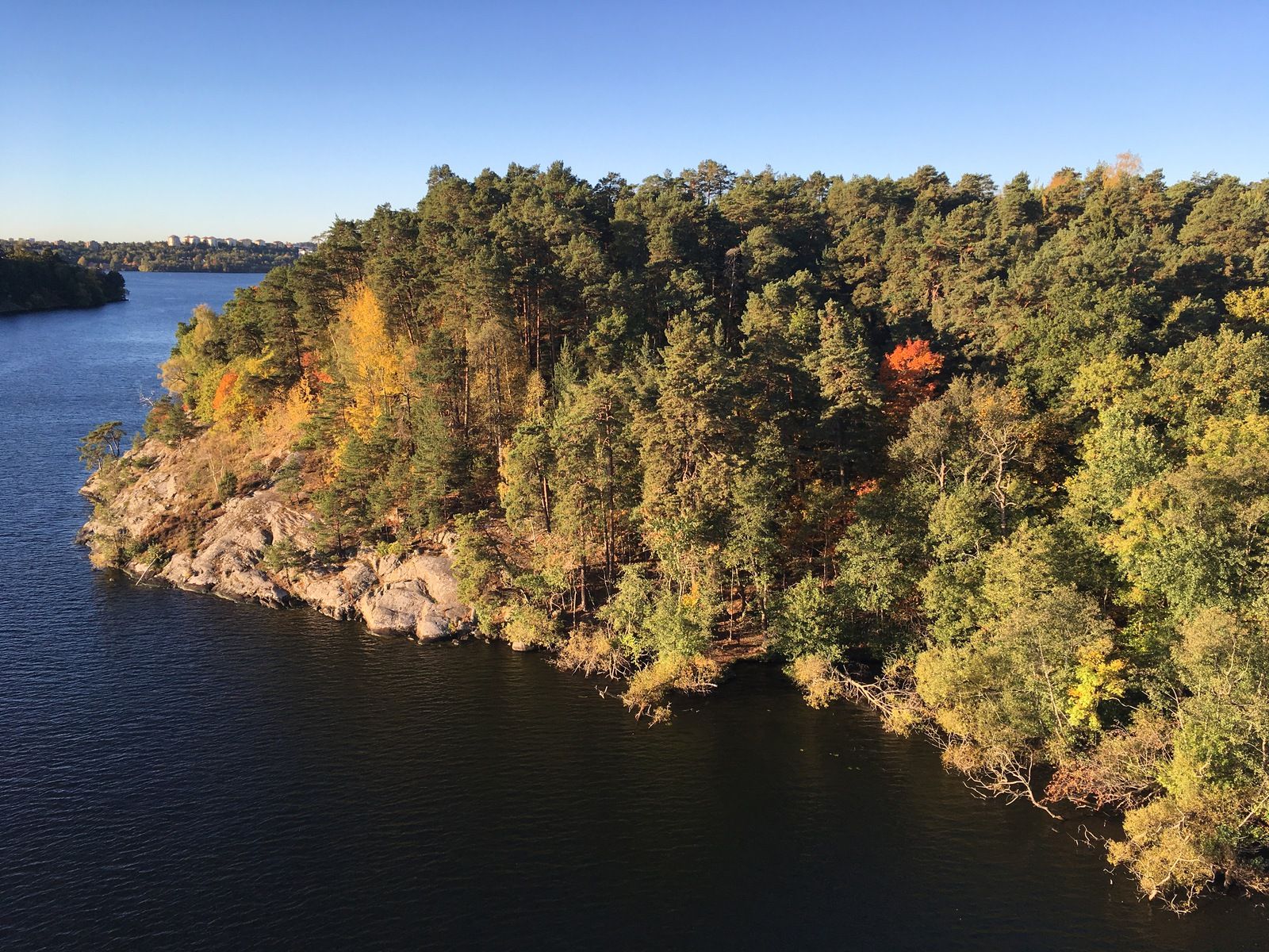 2016-10-0308.28.16.jpg