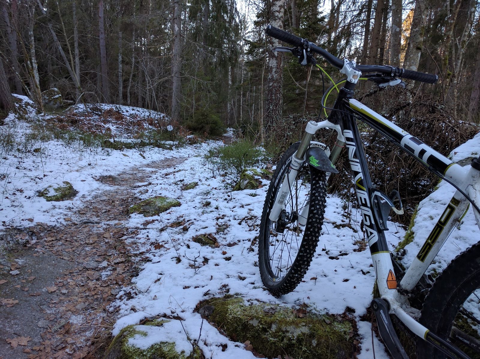 2016-12-0313.11.37.jpg