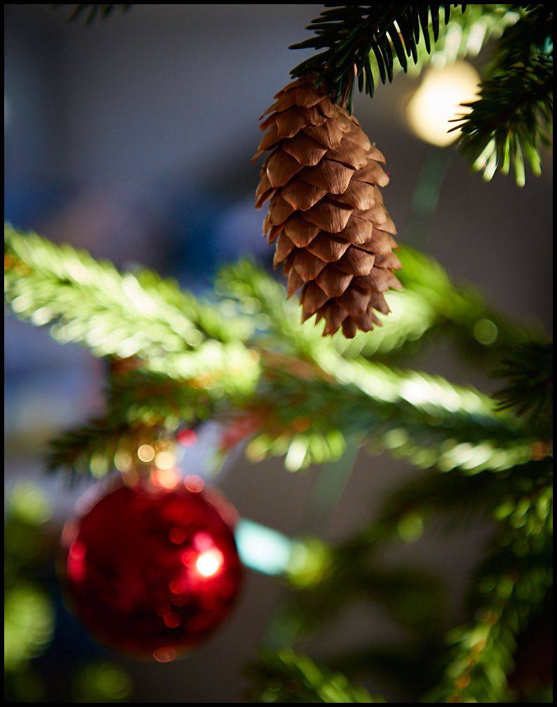2016-12-23-at-13-30-49.jpg