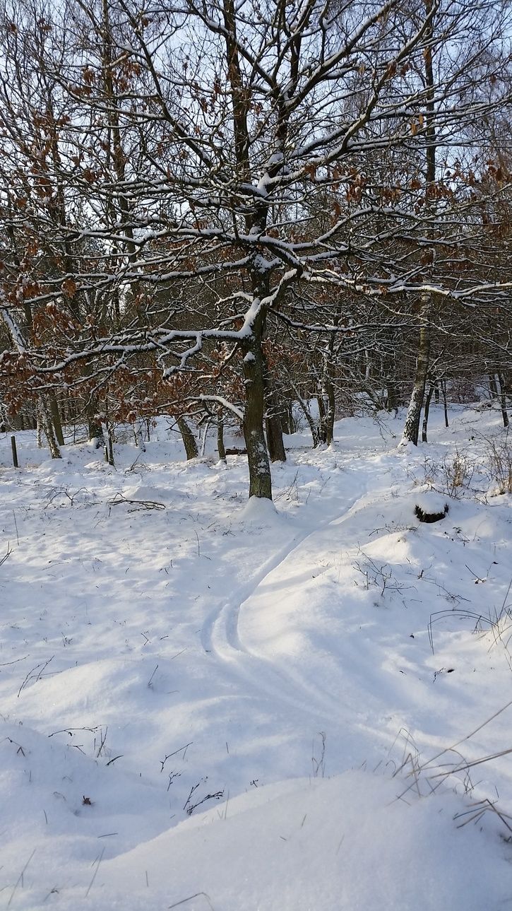 20160105_105158.jpg