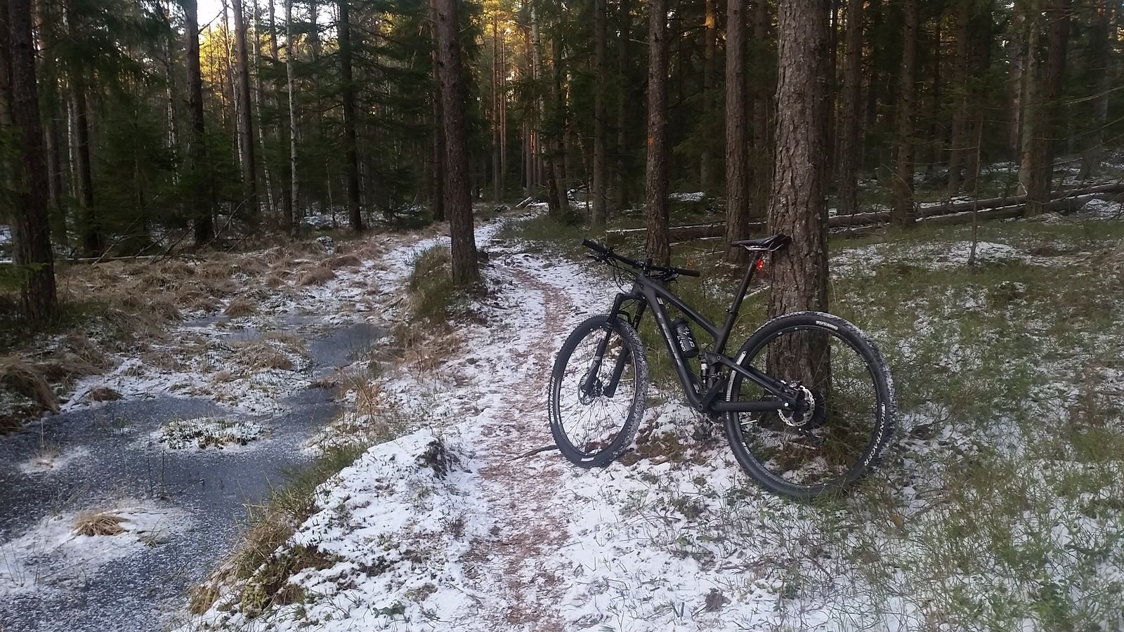 20160217_160556.jpg