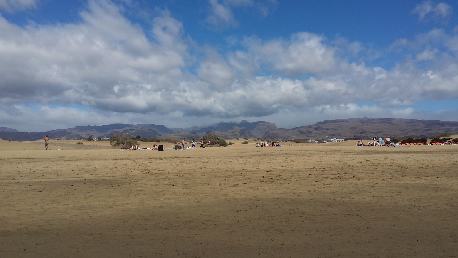 20160228_131236.jpg