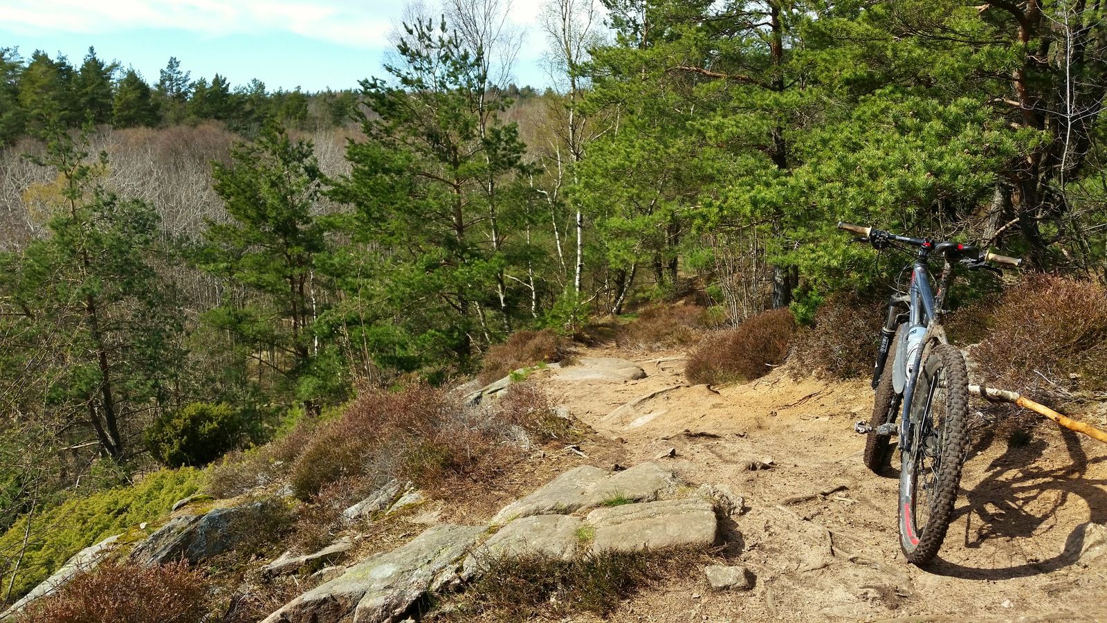 20160419_143246-01.jpeg