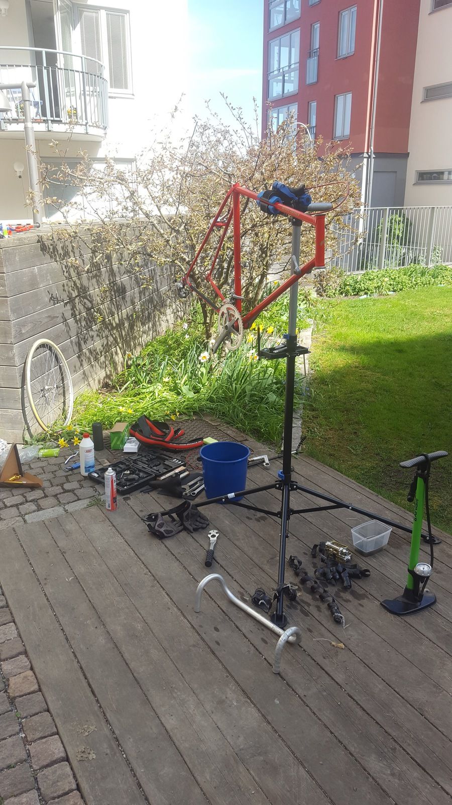 20160508_110842.jpg