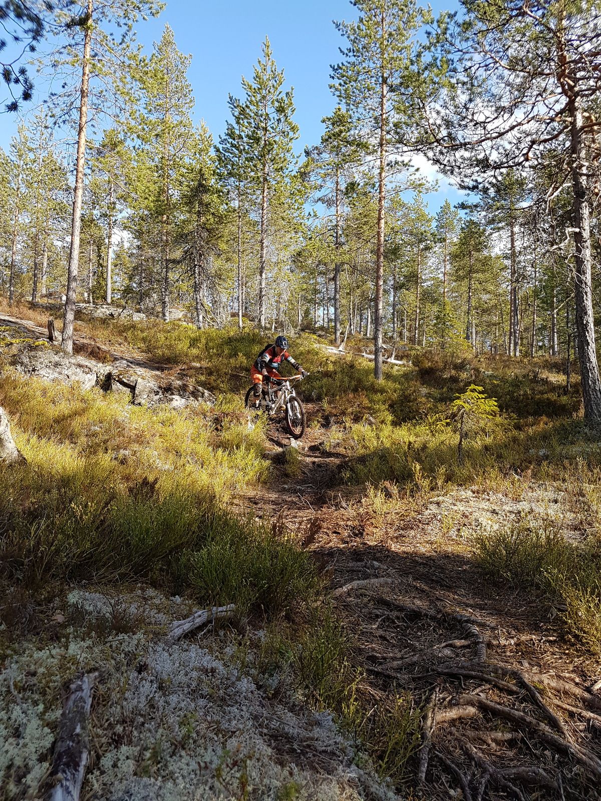 20160512_174611.jpg