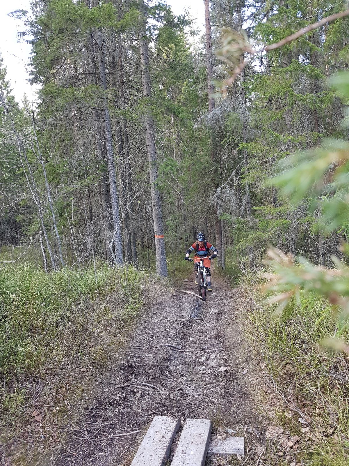 20160512_180132.jpg