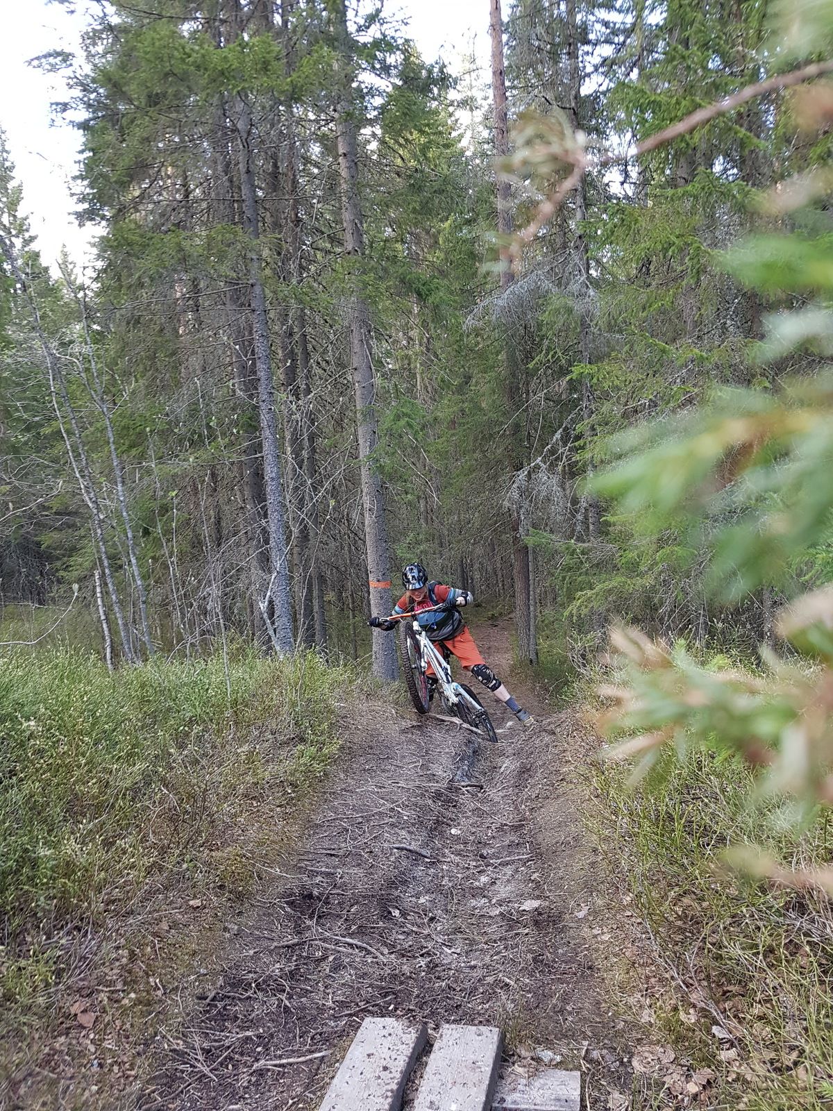 20160512_180135.jpg