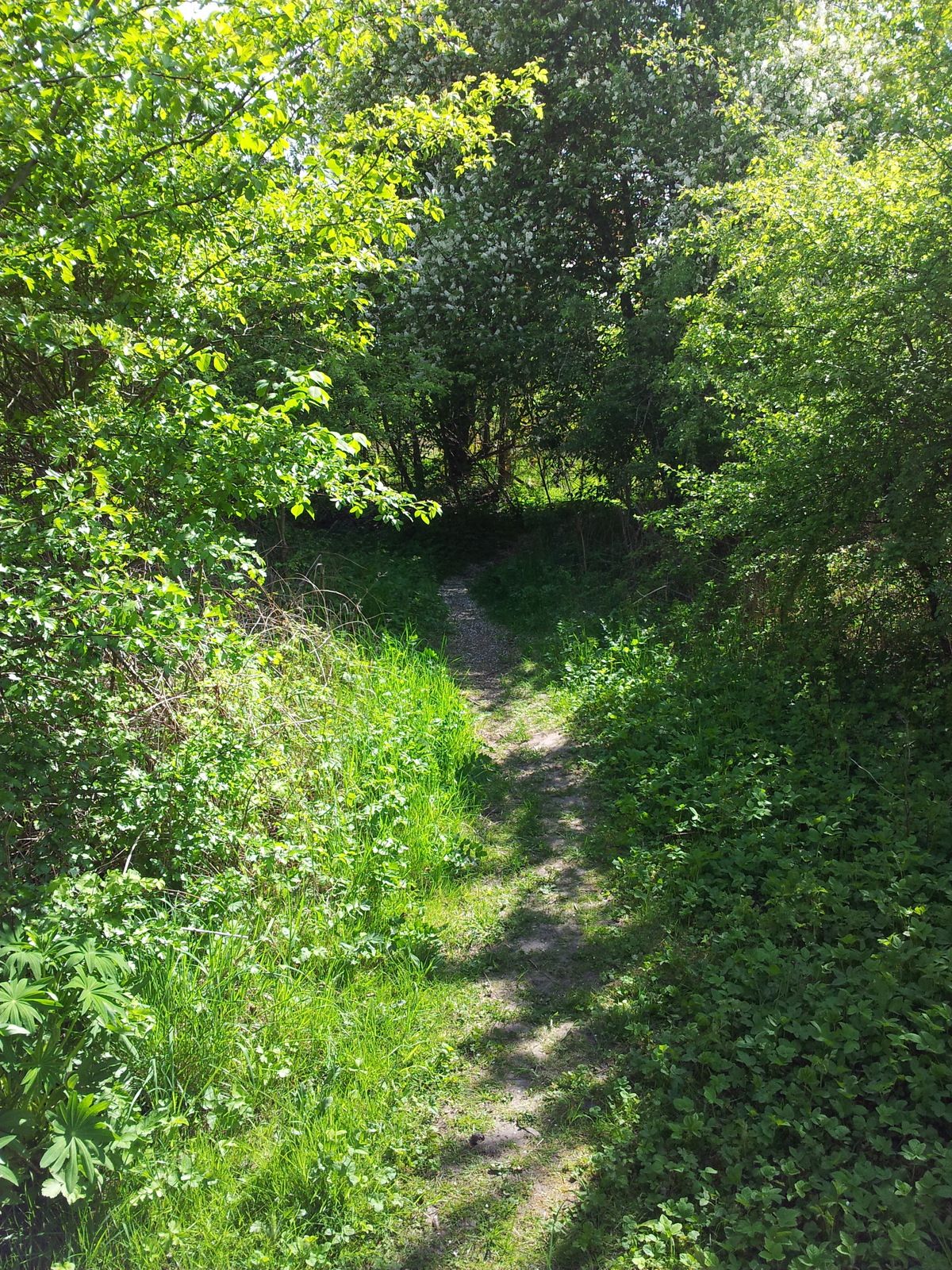 20160514_144437.jpg
