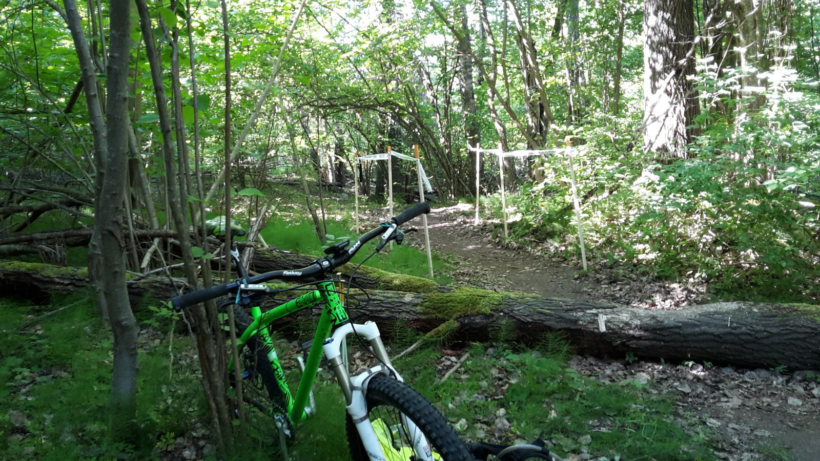 20160605_095928.jpg