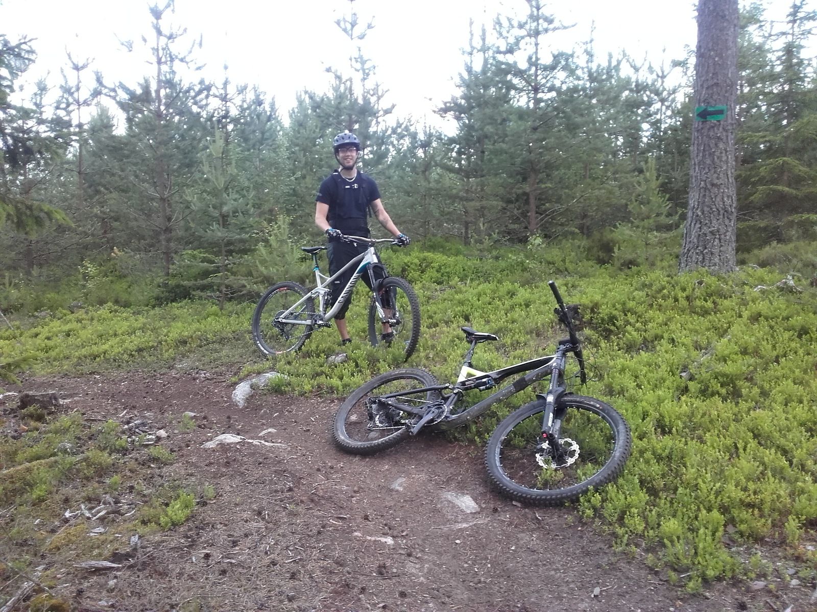 20160627_214817.jpg