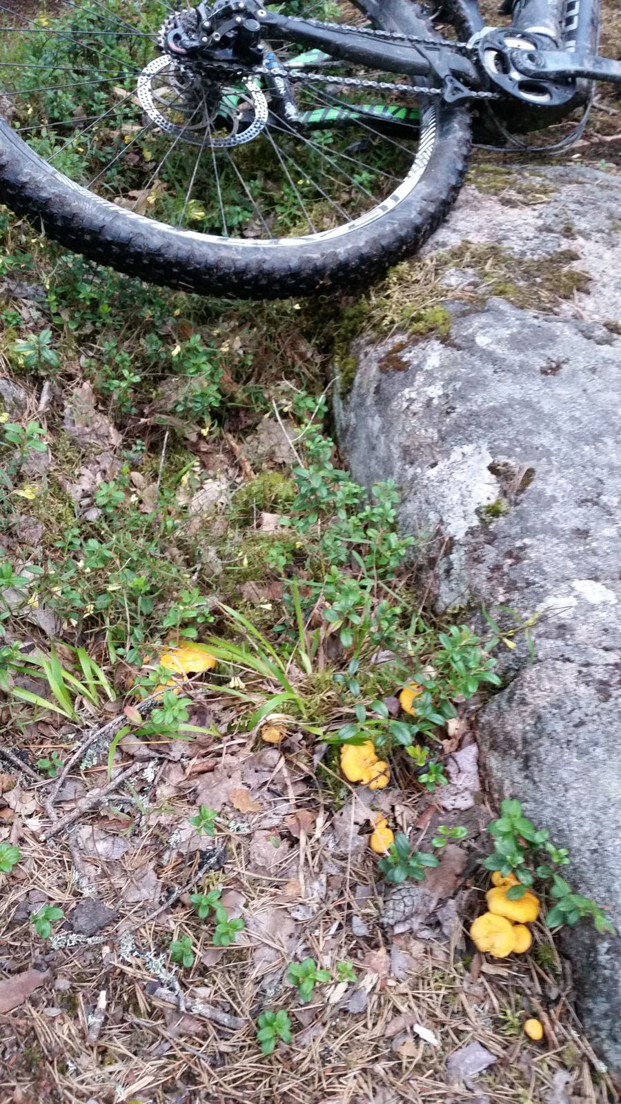20160713_2103360.jpg