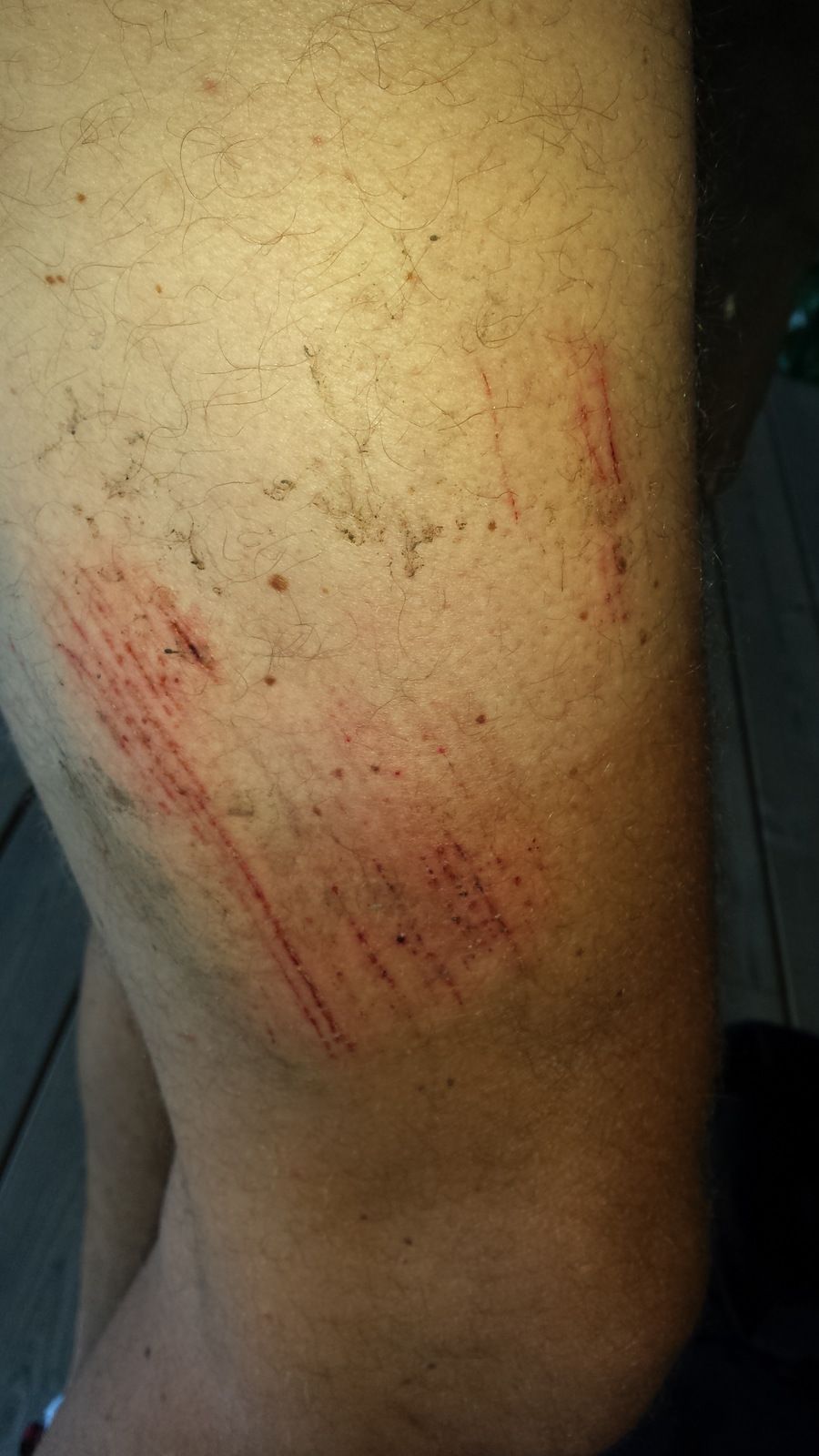 20160717_190158.jpg