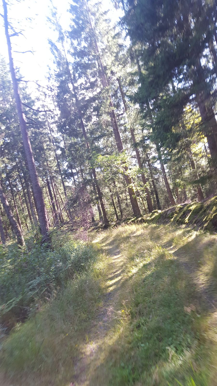 20160815_1627511.jpg