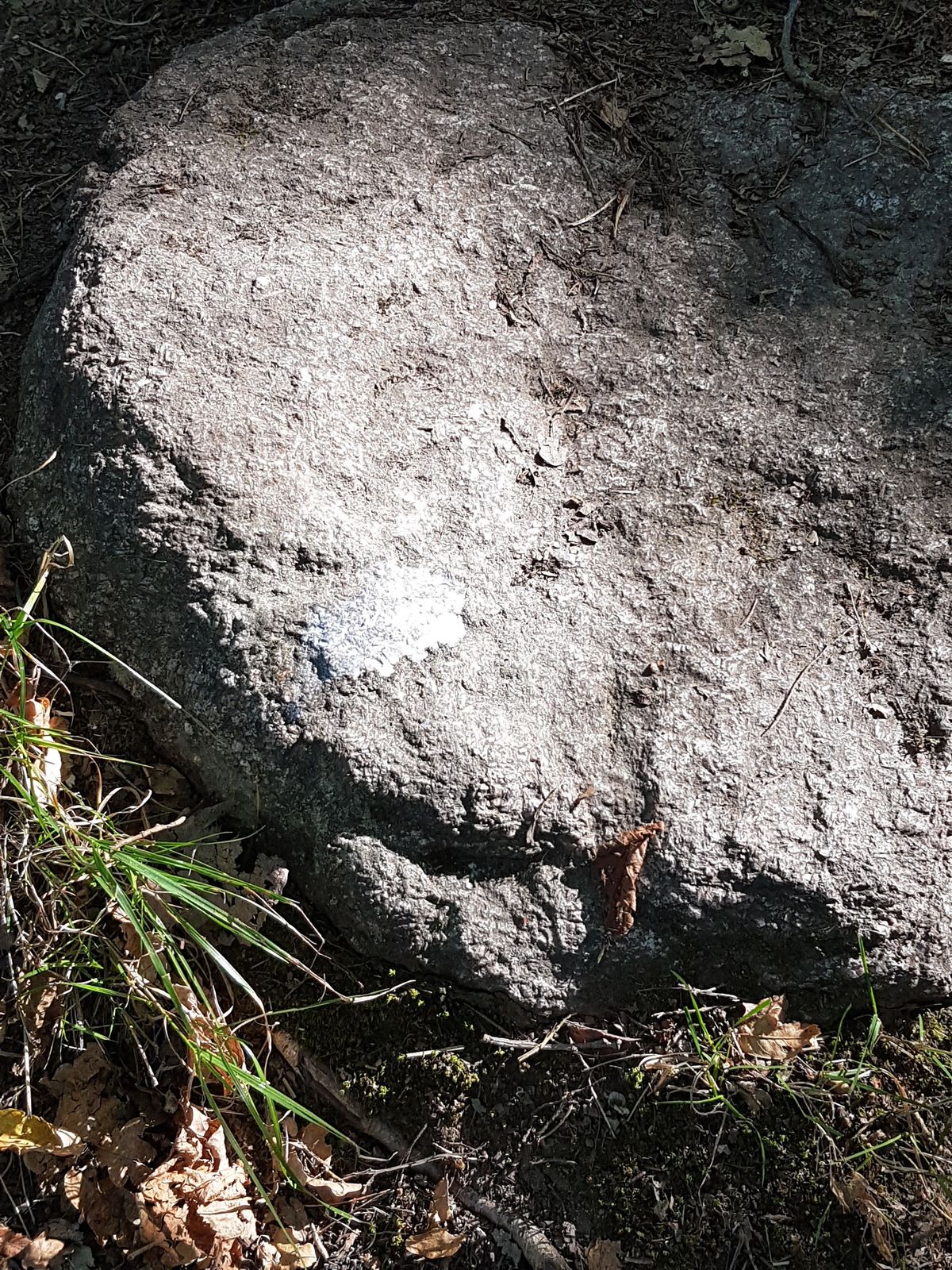 20160910_124707.jpg