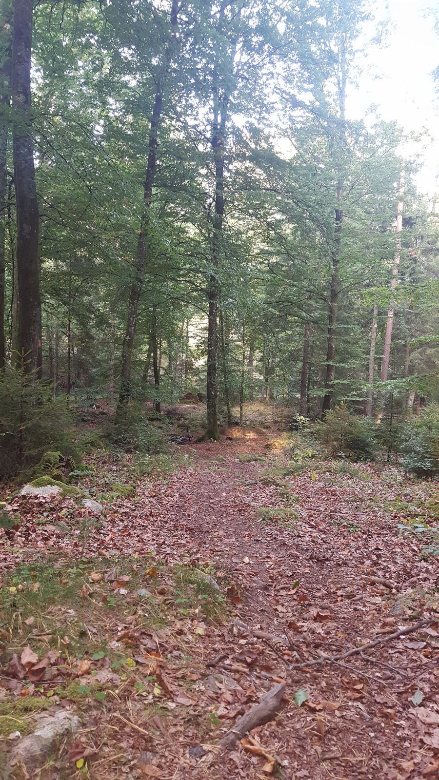20160925_161517.jpg